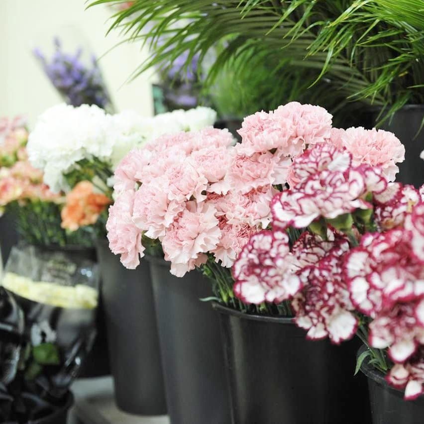 Contacta con Floristería Sedes