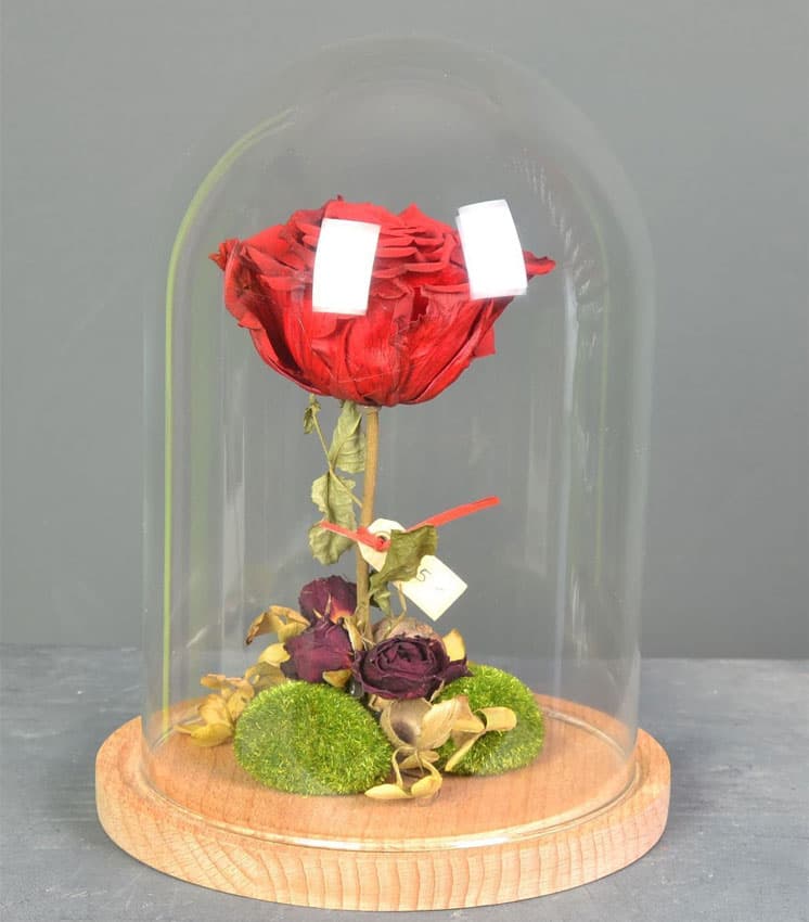 Rosas infinitas Ferrol